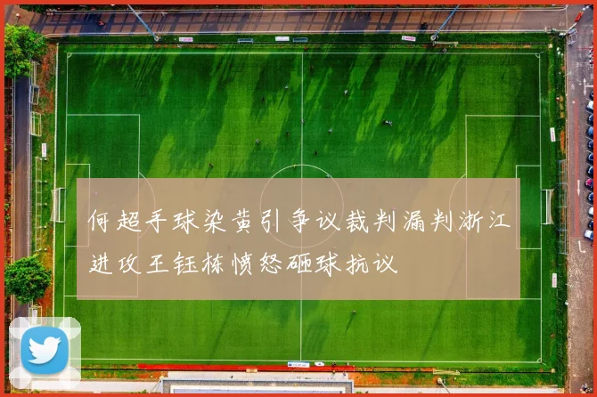 何超手球染黄引争议裁判漏判浙江进攻王钰栋愤怒砸球抗议