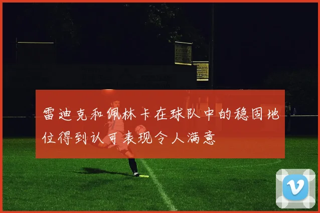 雷迪克和佩林卡在球队中的稳固地位得到认可表现令人满意